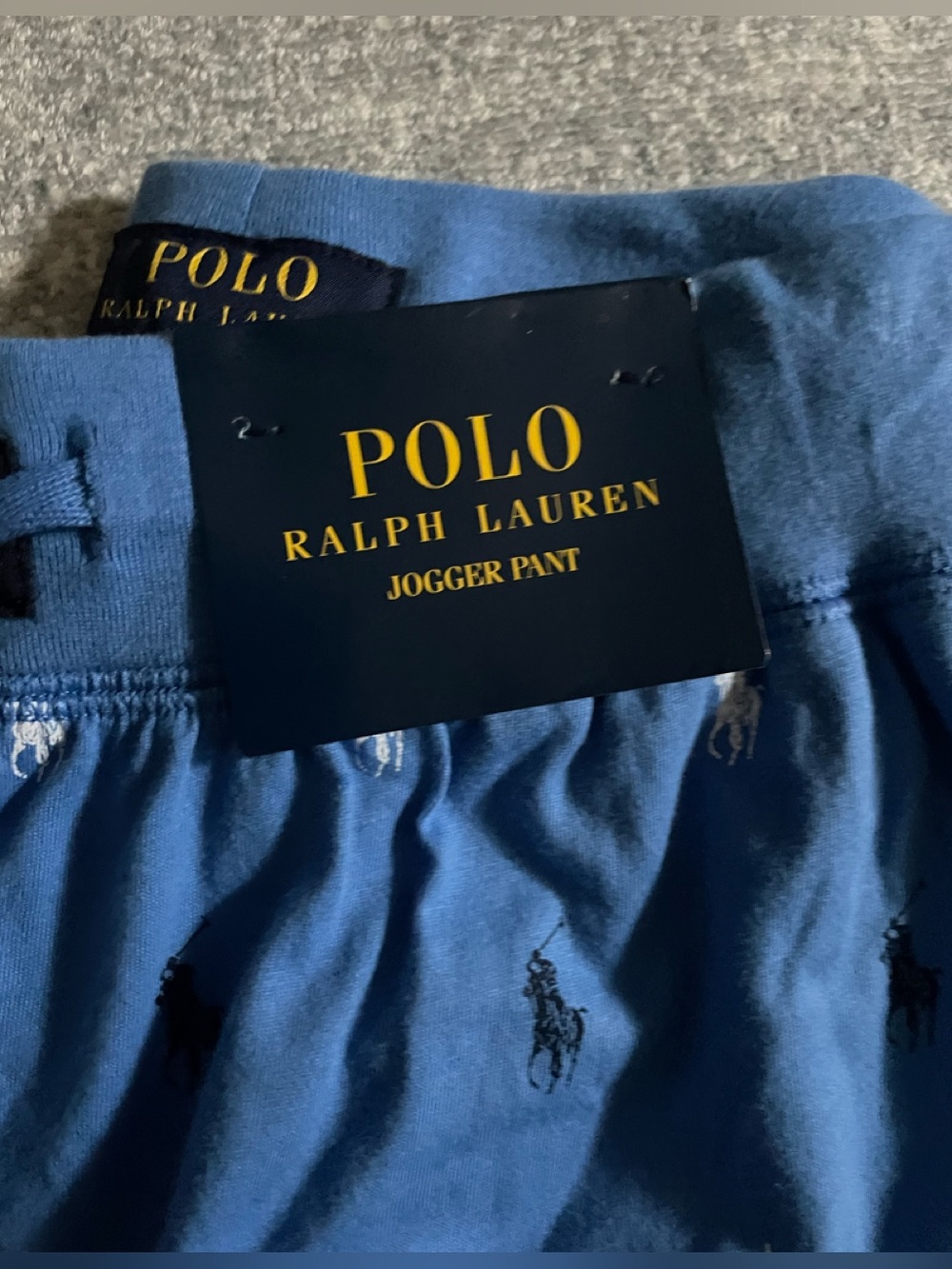 Polo by Ralph Lauren Blue adult Jogger Pant